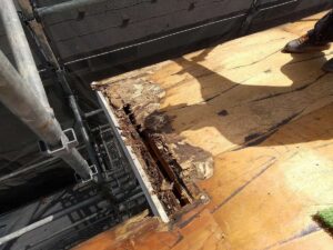 防水シートの下の野地板などの構造部分が腐食している写真