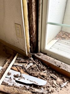 シロアリ被害