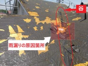 谷の腐食部　雨漏り箇所